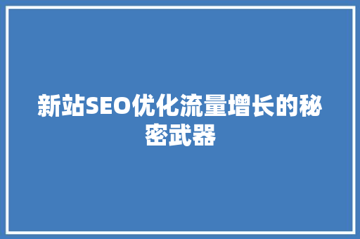 新站SEO优化流量增长的秘密武器