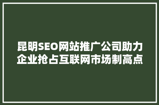 昆明SEO网站推广公司助力企业抢占互联网市场制高点