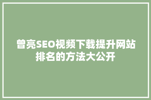曾亮SEO视频下载提升网站排名的方法大公开  第1张