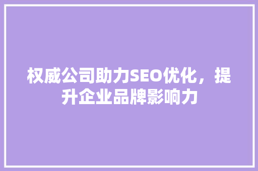 权威公司助力SEO优化，提升企业品牌影响力
