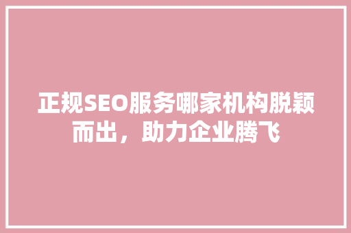 正规SEO服务哪家机构脱颖而出，助力企业腾飞