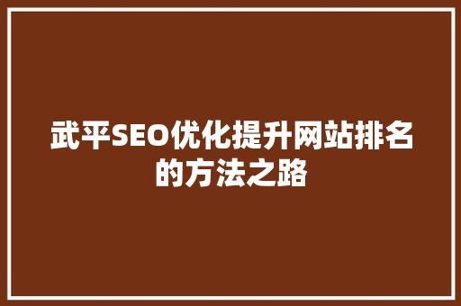 武平SEO优化提升网站排名的方法之路