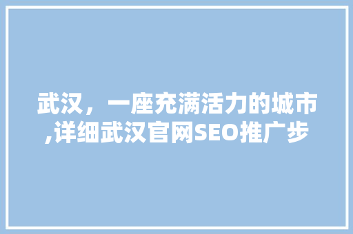 武汉，一座充满活力的城市,详细武汉官网SEO推广步骤