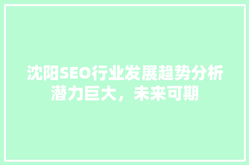 沈阳SEO行业发展趋势分析潜力巨大，未来可期