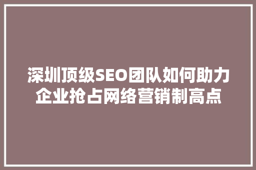 深圳顶级SEO团队如何助力企业抢占网络营销制高点