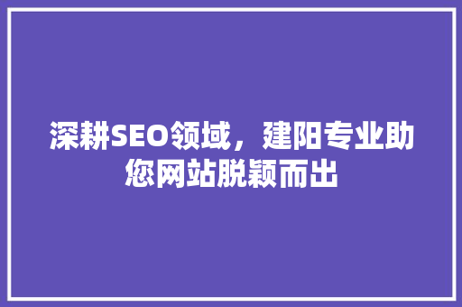 深耕SEO领域，建阳专业助您网站脱颖而出