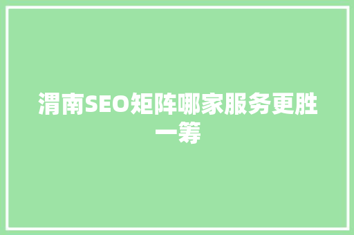 渭南SEO矩阵哪家服务更胜一筹