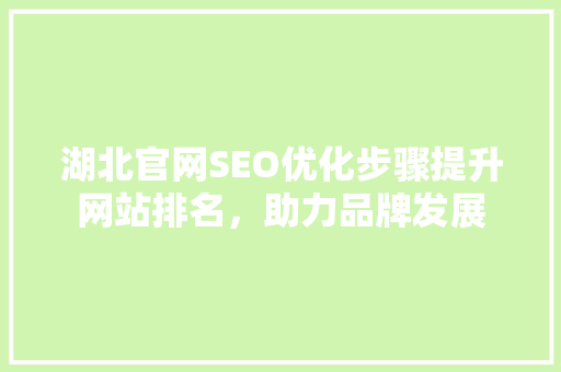 湖北官网SEO优化步骤提升网站排名，助力品牌发展