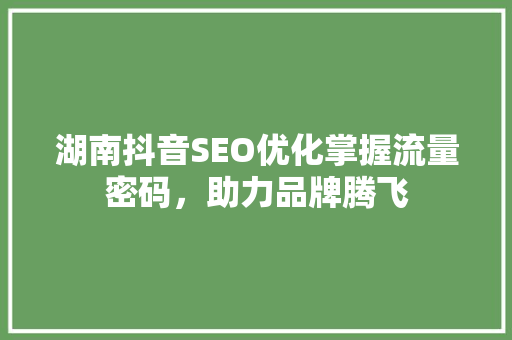 湖南抖音SEO优化掌握流量密码，助力品牌腾飞