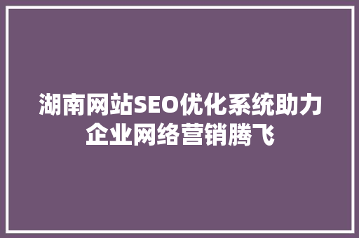 湖南网站SEO优化系统助力企业网络营销腾飞