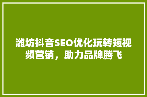 潍坊抖音SEO优化玩转短视频营销，助力品牌腾飞