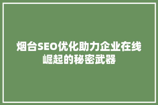 烟台SEO优化助力企业在线崛起的秘密武器