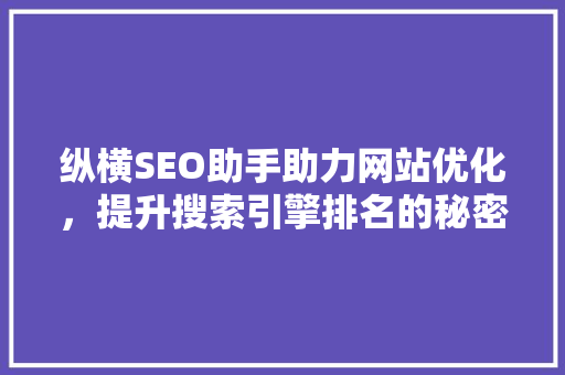 纵横SEO助手助力网站优化，提升搜索引擎排名的秘密武器