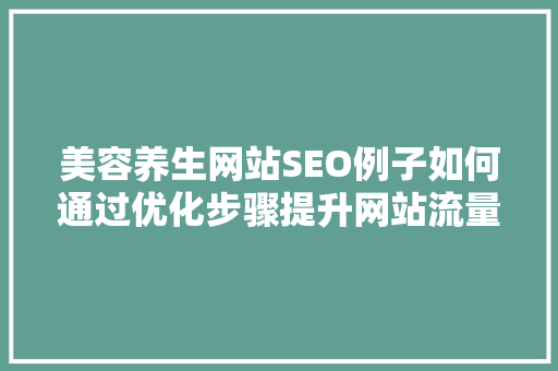 美容养生网站SEO例子如何通过优化步骤提升网站流量