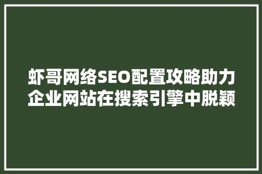 虾哥网络SEO配置攻略助力企业网站在搜索引擎中脱颖而出