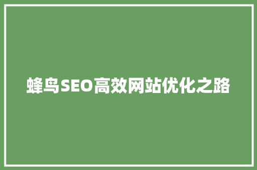 蜂鸟SEO高效网站优化之路