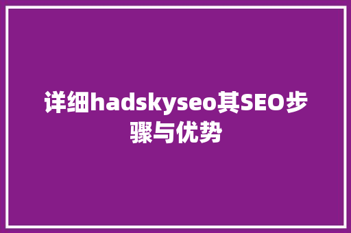 详细hadskyseo其SEO步骤与优势