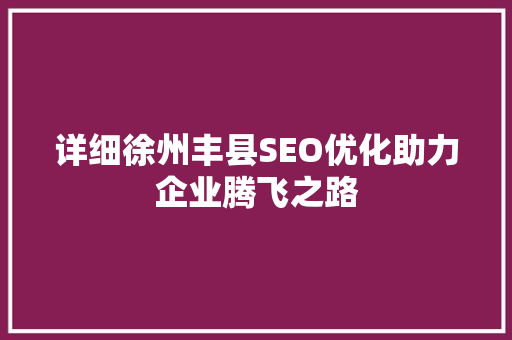 详细徐州丰县SEO优化助力企业腾飞之路
