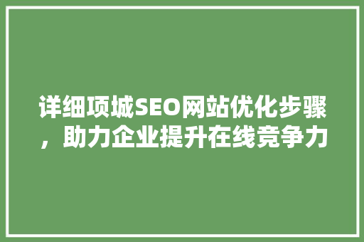 详细项城SEO网站优化步骤，助力企业提升在线竞争力