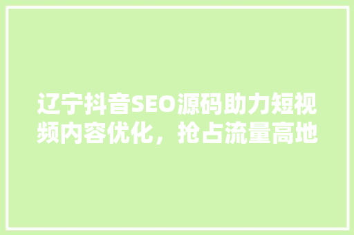 辽宁抖音SEO源码助力短视频内容优化，抢占流量高地