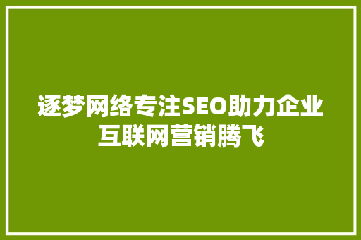逐梦网络专注SEO助力企业互联网营销腾飞