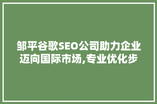 邹平谷歌SEO公司助力企业迈向国际市场,专业优化步骤，实现品牌全球传播