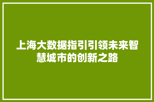 上海大数据指引引领未来智慧城市的创新之路