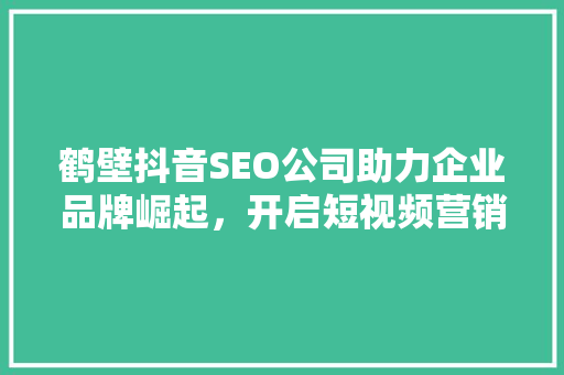 鹤壁抖音SEO公司助力企业品牌崛起，开启短视频营销新篇章  第1张