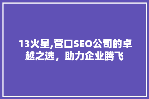13火星,营口SEO公司的卓越之选，助力企业腾飞