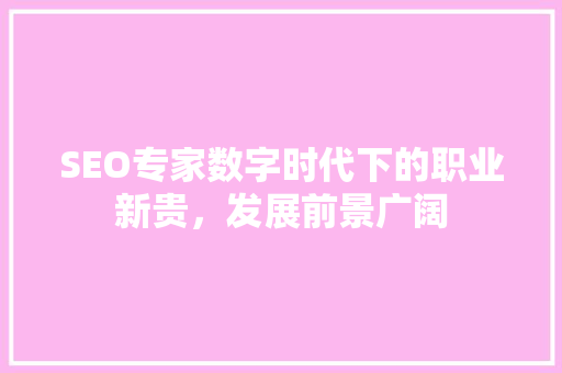 SEO专家数字时代下的职业新贵，发展前景广阔