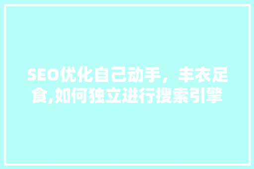SEO优化自己动手，丰衣足食,如何独立进行搜索引擎优化