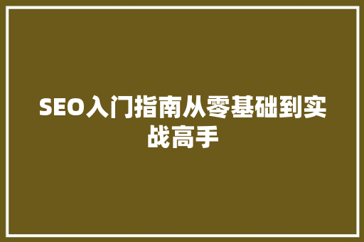 SEO入门指南从零基础到实战高手