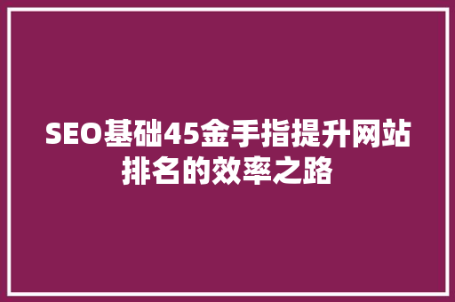 SEO基础45金手指提升网站排名的效率之路