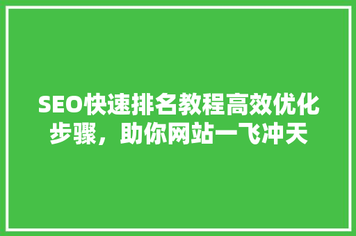SEO快速排名教程高效优化步骤，助你网站一飞冲天