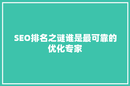 SEO排名之谜谁是最可靠的优化专家