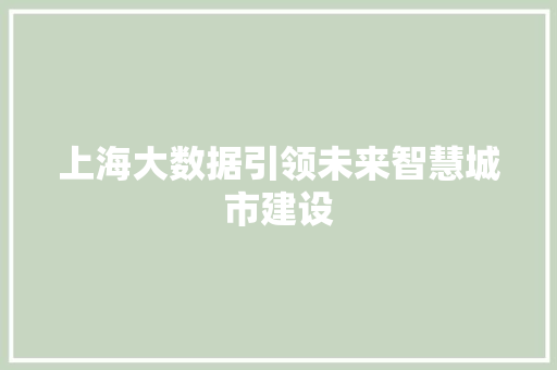 上海大数据引领未来智慧城市建设