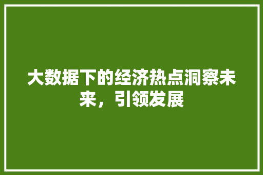 大数据下的经济热点洞察未来，引领发展  第1张