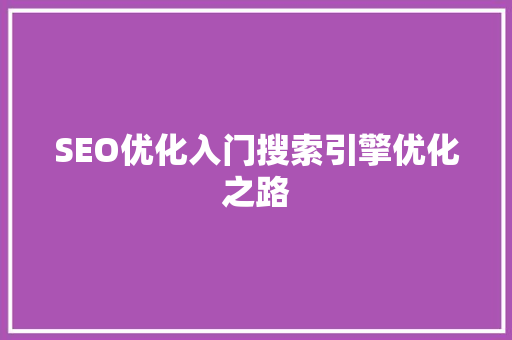 SEO优化入门搜索引擎优化之路