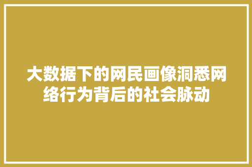 大数据下的网民画像洞悉网络行为背后的社会脉动