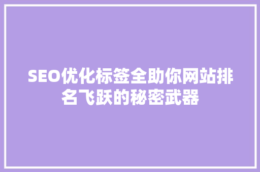 SEO优化标签全助你网站排名飞跃的秘密武器