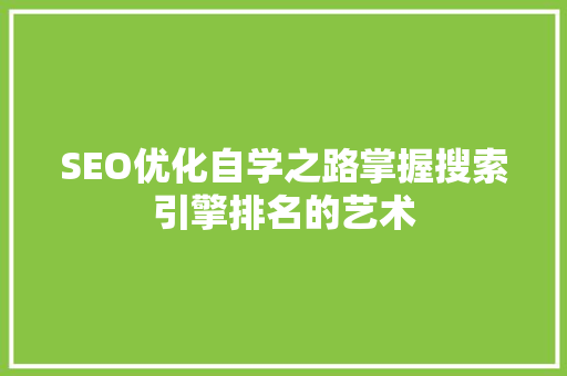 SEO优化自学之路掌握搜索引擎排名的艺术