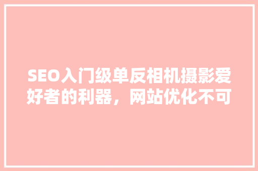SEO入门级单反相机摄影爱好者的利器，网站优化不可或缺的助手