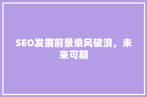 SEO发展前景乘风破浪，未来可期  第1张
