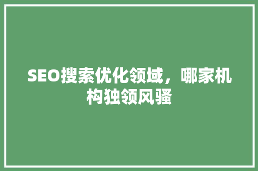 SEO搜索优化领域，哪家机构独领风骚