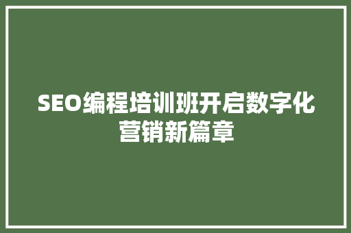 SEO编程培训班开启数字化营销新篇章