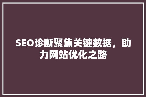 SEO诊断聚焦关键数据，助力网站优化之路