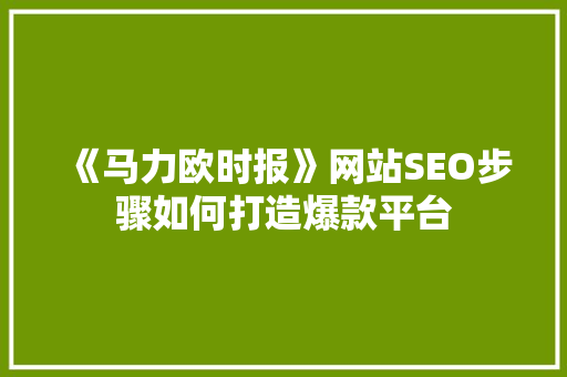 《马力欧时报》网站SEO步骤如何打造爆款平台