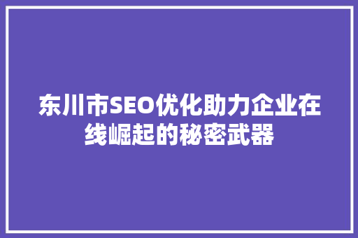 东川市SEO优化助力企业在线崛起的秘密武器