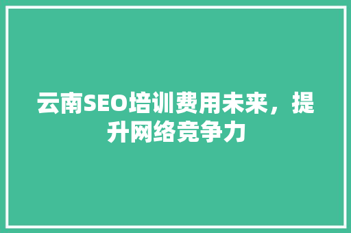 云南SEO培训费用未来，提升网络竞争力