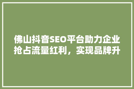 佛山抖音SEO平台助力企业抢占流量红利，实现品牌升级